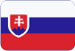 Umzugservice Tschechische Republik Slovensky